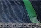 linie_09.jpg (147kb)