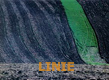 Linie
